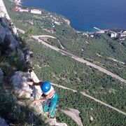 ���������� ������, ������� ���������, 36