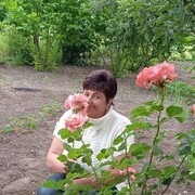  ,   Zinaida, 53 ,   c , 