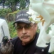   ,   , 65 ,     , c 