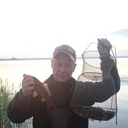  ,   , 48 ,   , 