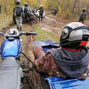 ���������� ��������, ���� ������� �����, 36 ���, ������������ ��� ������, ����� � ���������