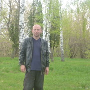  ,   Alekce, 40 ,   