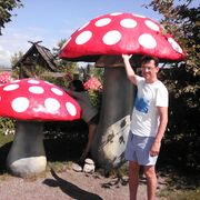 ���������� ������, ���� ������� �������, 53 ����, ������������ ��� ������, ����� � ���������