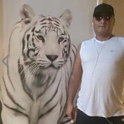 ���������� ����, ���� ������� ������, 55 ���, ������������ ��� ������, ����� � ���������, c�������� ���������, ���������