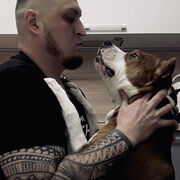 ���������� ������, ���� ������� ������, 37 ���, ������������ ��� ������, ����� � ���������, c�������� ���������, ���������