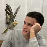 ���������� �������, ������� Denis, 33