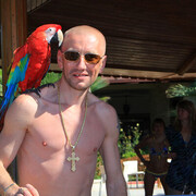 ���������� ������, ���� ������� ����, 38 ���, ������������ 