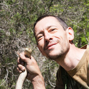 ���������� �����������, ���� ������� �������, 42 ����, ������������ ��� ����� � ���������, c�������� ���������