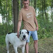 ���������� �����, ���� ������� �����, 32 ����, ������������ ��� ������, ����� � ���������