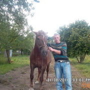 ���������� ������, ���� ������� ��������, 37 ���, ������������ ��� ������, ����� � ���������, c�������� ���������