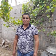 ���������� �������, ���� ������� ��������, 46 ���, ������������ ��� ������, ����� � ���������, c�������� ���������, ���������