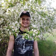 ���������� ����������, ���� ������� ������, 38 ���, ������������ ��� ������, ����� � ���������, c�������� ���������