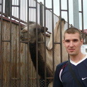 ���������� �����, ���� ������� �����, 43 ����, ������������ ��� ������, ����� � ���������, c�������� ���������