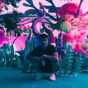 ���������� ���������, ���� ����� ����, 24 ����, ������������ ��� ������, ����� � ���������