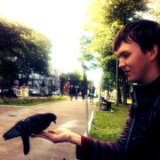 ���������� �����, ���� ������� ���������, 32 ����, ������������ ��� ������, ����� � ���������, c�������� ���������