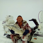 ���������� �����, ���� ������� ����, 54 ����, ������������ 