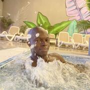 ���������� ������, ���� ������� ���, 31 ���, ������������ ��� ������, ����� � ���������, c�������� ���������, ���������