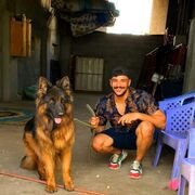 ���������� �����-���������, ���� ������� KRSHNA, 29 ���, ������������ ��� ������, ����� � ���������