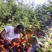 ���������� �������, ������� ���, 35