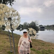 ���������� �������, ���� ������� �������, 55 ���, ������������ ��� ������, ����� � ���������