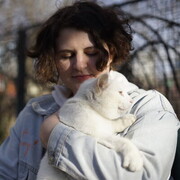 ���������� ���������, ���� ������� ����, 22 ����, ������������ ��� ������, ����� � ���������