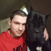 ���������� ������ ��������, ���� ������� ��������, 28 ���, ������������ ��� ������, ����� � ���������