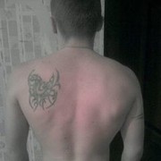 ���������� �����, ���� ������� ������, 40 ���, ������������ ��� ������, ����� � ���������, c�������� ���������