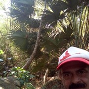 ���������� ����, ���� ������� StoneLion, 57 ���, ������������ ��� ������, ����� � ���������, c�������� ���������