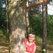  ,   , 54 ,   ,   