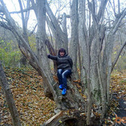  ,   Angelika, 52 ,   ,   , c 