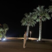 ���������� ����, ���� ������� ������, 31 ���, ������������ ��� c�������� ���������