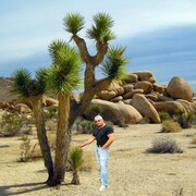  ,   Rolands, 64 ,   