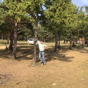  ,   , 62 ,   ,   