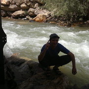  ,   Nur88, 36 ,     , c 