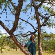 ���������� �������, ���� ������� ������, 50 ���, ������������ ��� ������, ����� � ���������, c�������� ���������