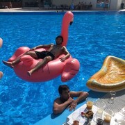 ���������� ������, ���� ������� ����, 27 ���, ������������ ��� ������, ����� � ���������