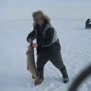 ���������� ������, ���� ������� �������, 56 ���, ������������ ��� ������, ����� � ���������, c�������� ���������, ���������