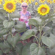 ���������� ��������, ���� ������� ���������, 57 ���, ������������ ��� ����� � ���������, c�������� ���������