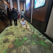 ���������� �������, ���� ������� ������, 50 ���, ������������ ��� c�������� ���������, ���������