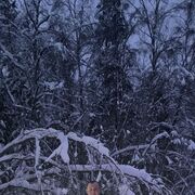 ���������� �������, ������� �������, 32