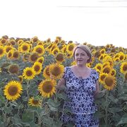 ���������� ������, ���� ������� �������, 37 ���, ������������ ��� ������, ����� � ���������, c�������� ���������