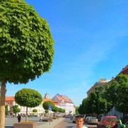  ,   Vladimer, 32 ,   ,   , c 