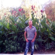 ���������� ������, ���� ������� �������, 40 ���, ������������ ��� ����� � ���������, c�������� ���������