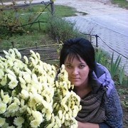  ,   , 41 ,     , c 