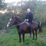 ���������� �����, ���� ������� ���, 41 ���, ������������ ��� ����� � ���������, c�������� ���������