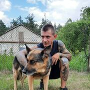 ���������� ������, ���� ������� ˸��, 31 ���, ������������ ��� ������, ����� � ���������