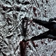 ���������� ���������, ���� ������� �������, 40 ���, ������������ ��� ������, ����� � ���������, c�������� ���������