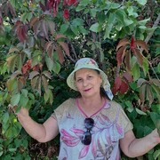  ,   , 70 ,   ,   