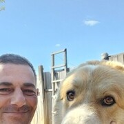 ���������� ������ ��������, ���� ������� �������, 47 ���, ������������ ��� ������, ����� � ���������