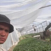  -,   Hayrullo, 37 ,   ,   , c 